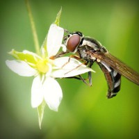 /album/club-investigativo-el-cartama/photolia-a02-jpg/