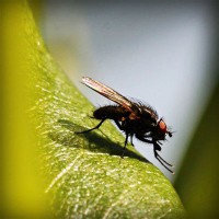 /album/club-investigativo-el-cartama/photolia-a04-jpg/