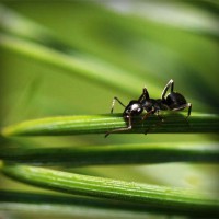 /album/club-investigativo-el-cartama/photolia-a05-jpg/