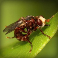 /album/club-investigativo-el-cartama/photolia-a06-jpg/