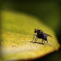 /album/club-investigativo-el-cartama/photolia-a07-jpg/